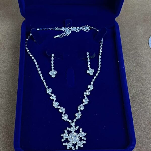 Luxury Necklace and Earrings Set Z649