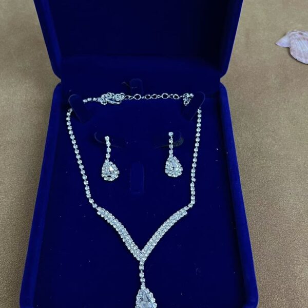 Luxury Necklace and Earrings Set Z651
