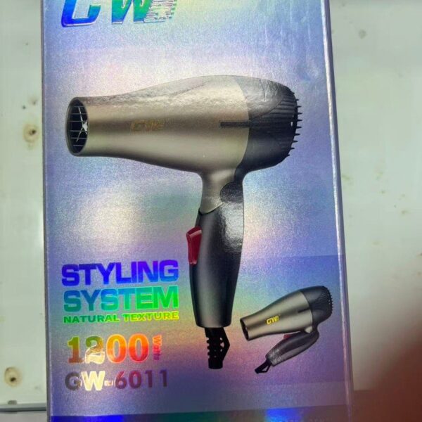 Folding Hair Dryer – GW-6011