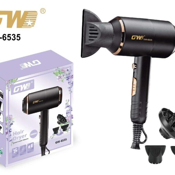 AC Motor Hair Dryer – GW-6535
