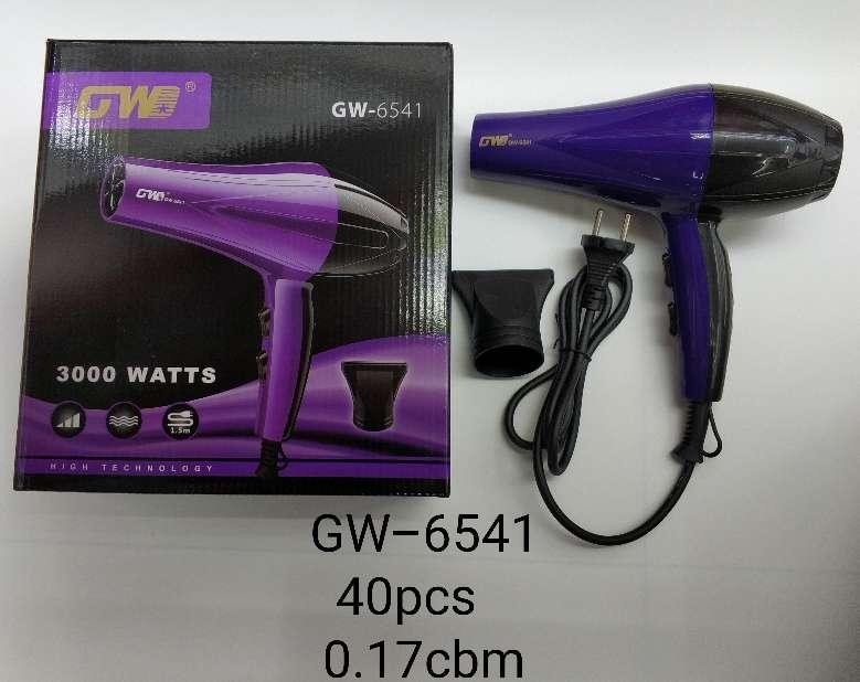 GW-6541.jpg Hair Dryer – GW-6541 - Image 1