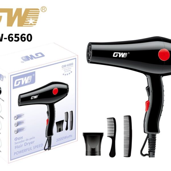 Hair Dryer – GW-6560