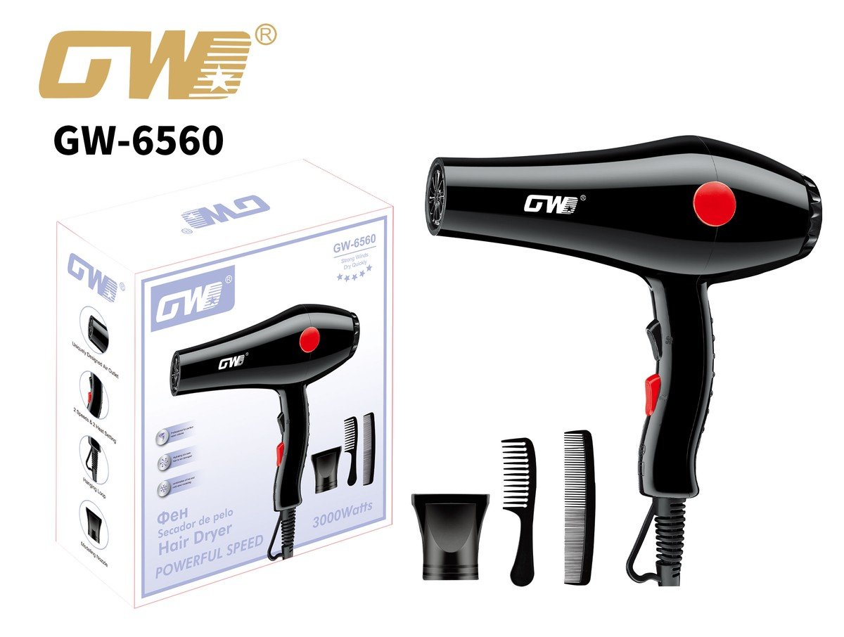 GW-6560.jpg Hair Dryer – GW-6560 - Image 1