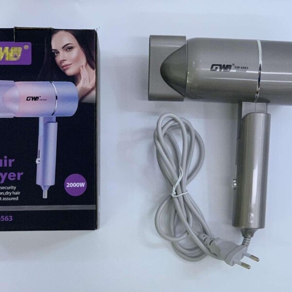 Hair Dryer – GW-6563- Spray-Painted Model