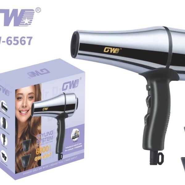 AC Motor Hair Dryer – GW-6567