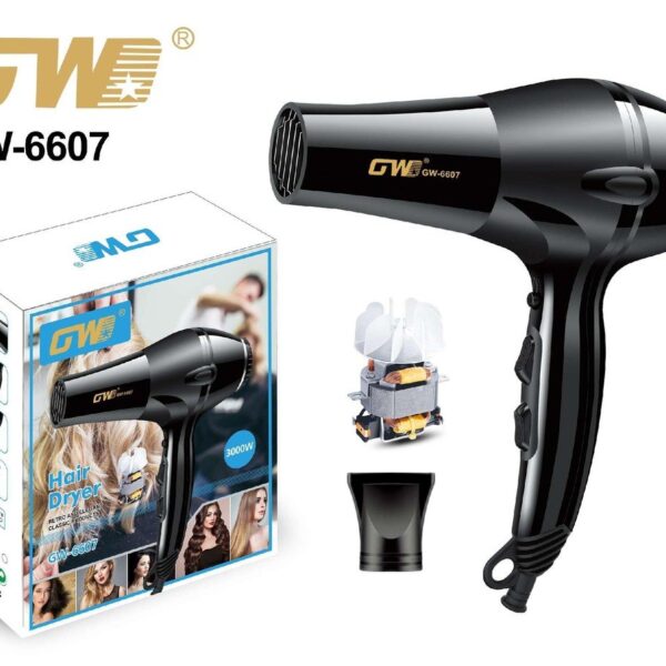 AC Motor Hair Dryer – GW-6607