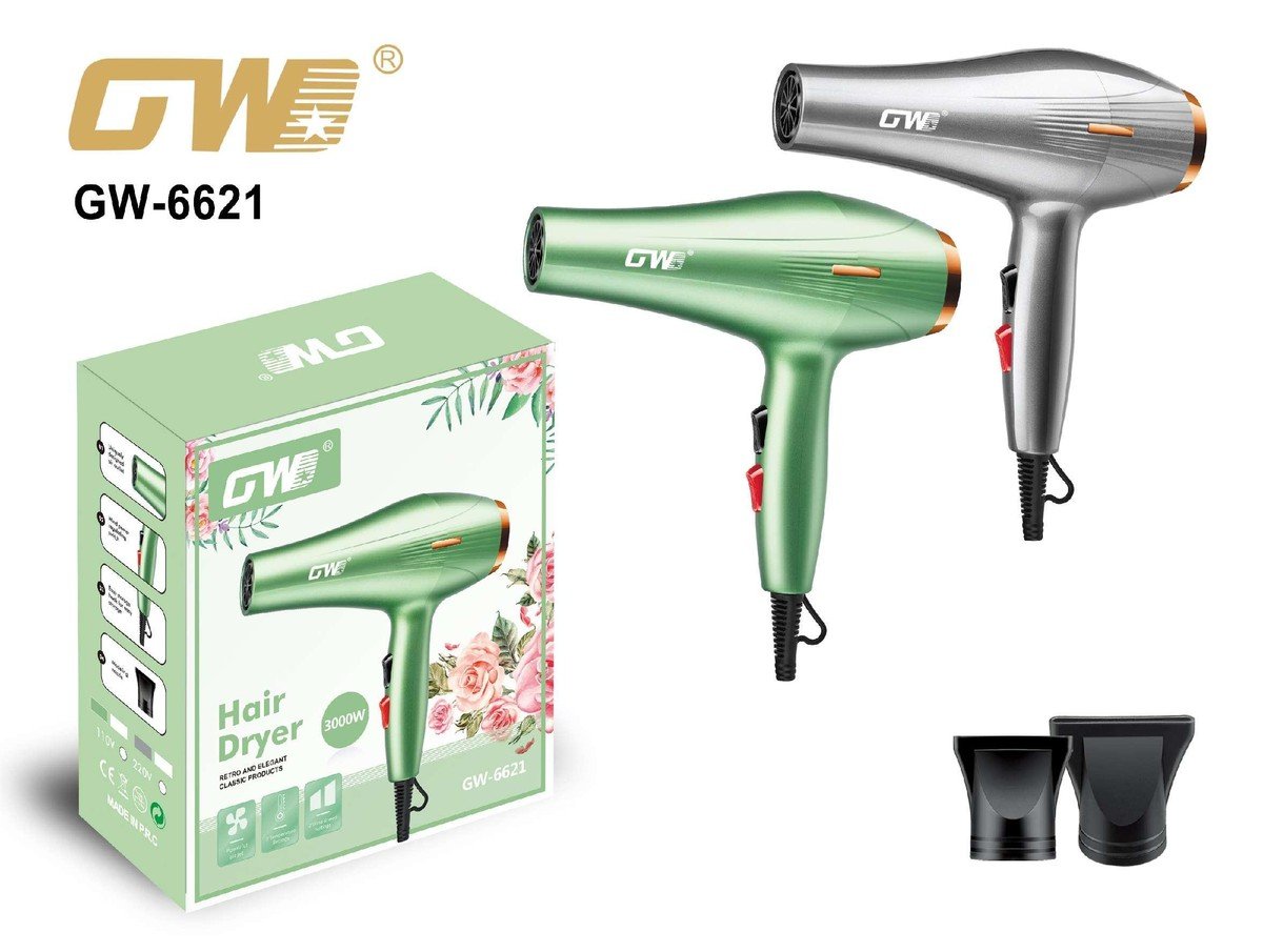 GW-6621.jpg Hair Dryer – GW-6621 - Image 1