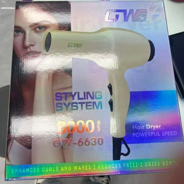 Hair Dryer – GW-6630