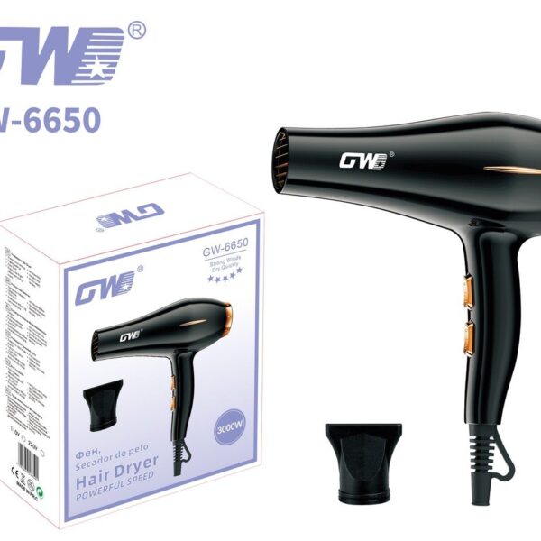 Hair Dryer – GW-6650