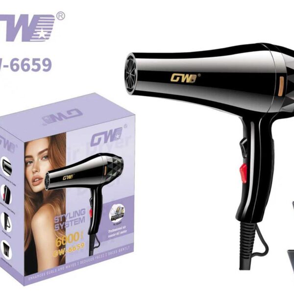 AC Motor Hair Dryer – GW-6659
