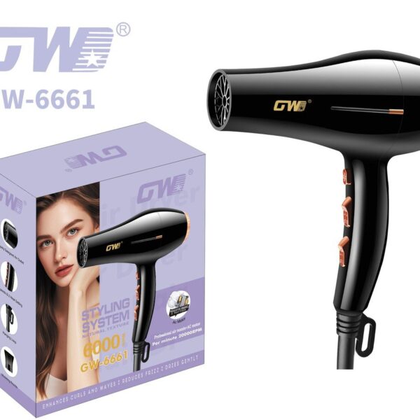 AC Motor Hair Dryer – GW-6661