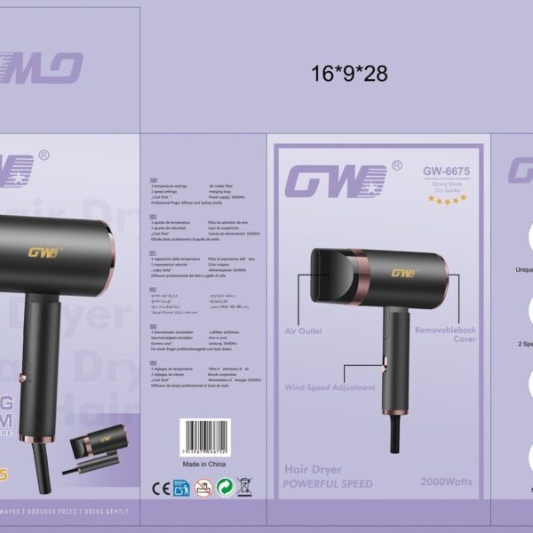 AC Motor Hair Dryer – GW-6675