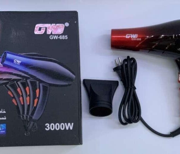 Hair Dryer – GW-685