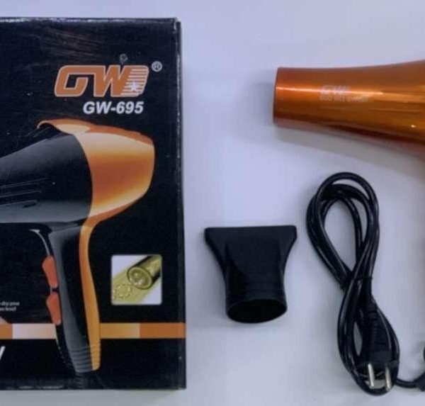 Hair Dryer – GW-695