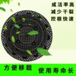 Root Control Container for Tree Planting - Image 3