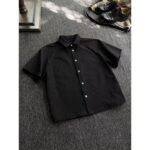 Pleated Texture Short Sleeve Shirt - Image 2