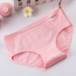 Shrimp Pink / 3XL