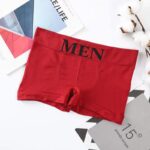 Red / One Size (Fits 100 160 Jin